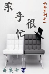 殺手很忙(殺手系列之一)