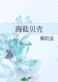 海盐贝壳